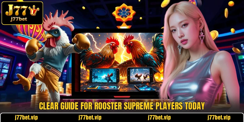 Clear guide for rooster supreme players today Clear guide for rooster supreme players today