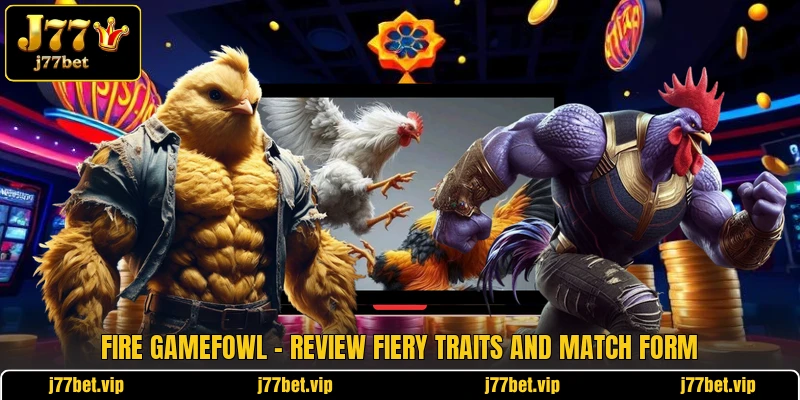 Fire Gamefowl - Review Fiery Traits And Match Form 1 Fire Gamefowl - Review Fiery Traits And Match Form
