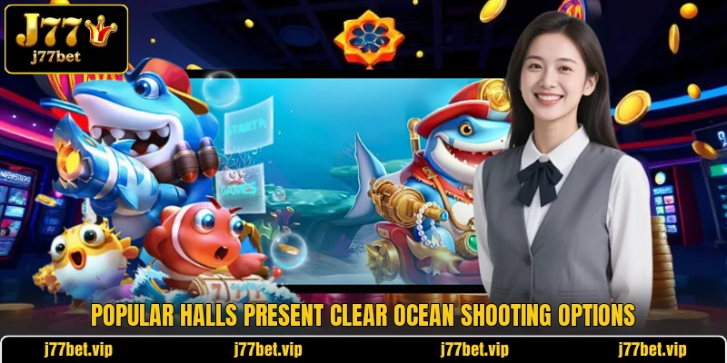 Popular halls present clear ocean shooting options