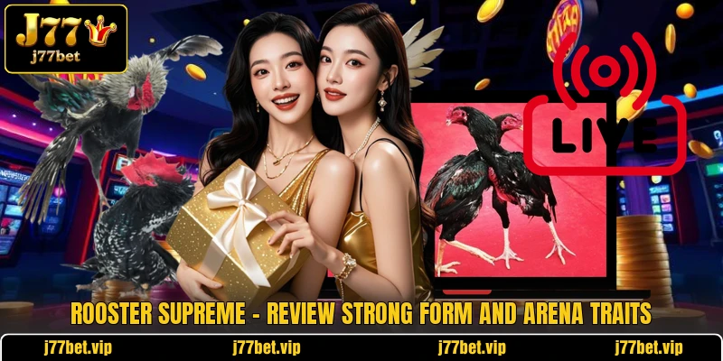 Rooster Supreme - Review Strong Form And Arena Traits 1 Rooster Supreme - Review Strong Form And Arena Traits